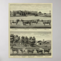 Hayes, Olathe, and Ellis Residence and Farm