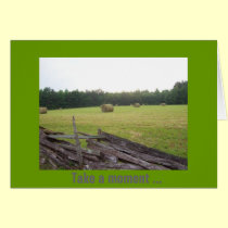 Hayfield in Virginia photo by Gwen Billips cards