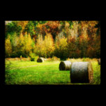 HayField posters