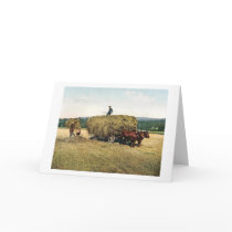 Haying in New England - Vintage 1900 cards by scenesfromthepast Haying in New England - Vintage 1900 cards