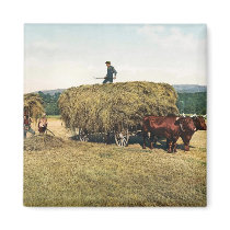 Haying in New England - Vintage 1900 Magnets