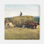 Haying in New England - Vintage 1900 Magnets