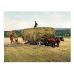 Haying in New England - Vintage 1900 Post Card