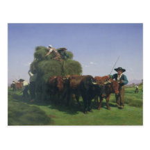 Haymaking, Auvergne Post Cards