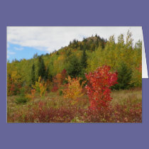 Haystack Mountain cards
