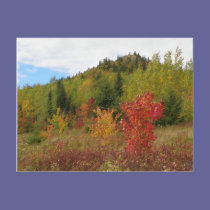 Haystack Mountain postcards