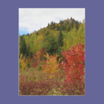 Haystack Mountain postcards