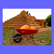 Haystack with Pumpkins & Wheelbarrow posters