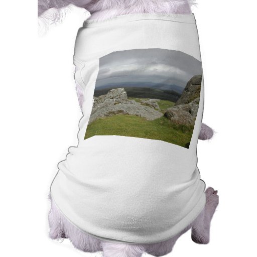 Haytor. Rocks in Devon England. Pet Shirt