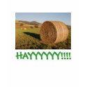 HAYYY!!! Ringer T-shirt