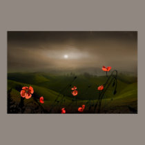 Haze On The Hills posters