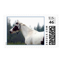 'Hazy Paint Day' Postage Stamps#1