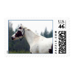 'Hazy Paint Day' Postage Stamps#1
