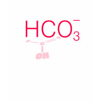 HCO3- Bicarbonate Lewis Structure t-shirts