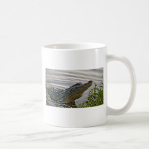 HDR Gator Coffee Mugs