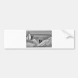 HDR Seagull B/W Sitting on Concreat Pier Pole Bumper Sticker