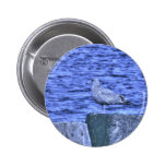 HDR Seagull Sitting on Pier Pylon Buttons