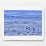 HDR Seagulls Beach One Waving Wings Mouse Pad