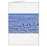 HDR Seagulls Together Beach Watching Ocean Greeting Card
