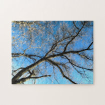 HDR Tree Puzzle