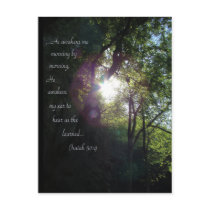 He awakens me... postcards by MAPASUE He awakens me... postcards