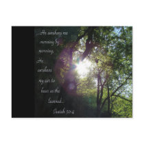 He awakens me... postcards by MAPASUE He awakens me... postcards