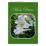 He is Risen, Easter Blessings, White Lily Cards