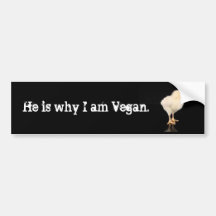 he is why I am vegan Bumper Stickers