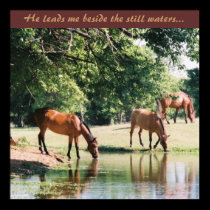 He leads me beside the still waters ... posters