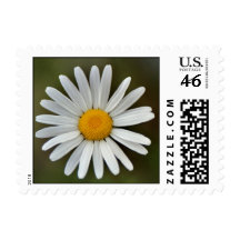 He loves me, he loves me not postage stamps