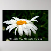 He Loves Me, He Loves Me Not Posters