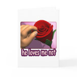He Loves Me Not Greeting Cards