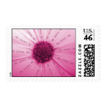He Loves Me Pink Daisy Postage stamp