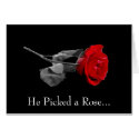He Picked a Rose... cards