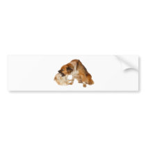 He talked too much! bumper sticker