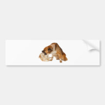 He talked too much! bumper sticker