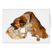 He talked too much! card