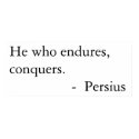 He who endures, conquers.  posters