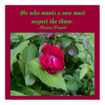 He who wants a rose must respect...Poster posters by pammys He who wants a rose must respect...Poster posters