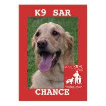 head-CHANCE, KlassKids Search Team K9 Business Cards