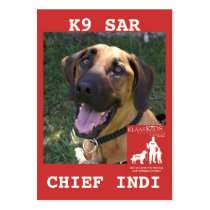 head-chief, KlassKids Search Team LEFT CHEST 20... Business Card Templates