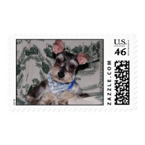 Head cocked postage by PaPaBearBP Head cocked postage