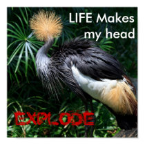 head explode posters