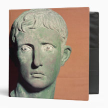 Head from a full length statue of Emperor Vinyl Binder