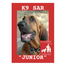 head-JUNIOR, KlassKids Search Team K9 Business Cards