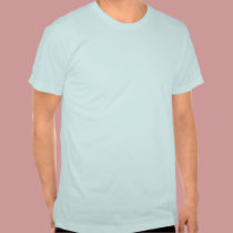 Head Nerd in Charge t-shirts