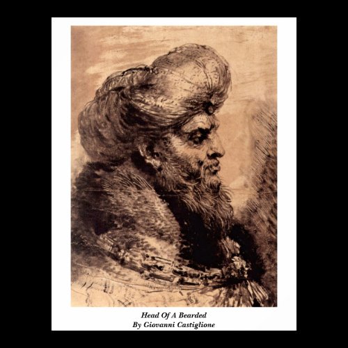 Head Of A Bearded By Giovanni Castiglione Poster