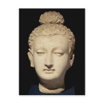Head of a Buddha, Greco-Buddhist style postcards