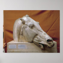 Head of a Horse of Selene Print