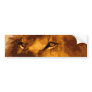 Head of African Lion Bumper Stickers